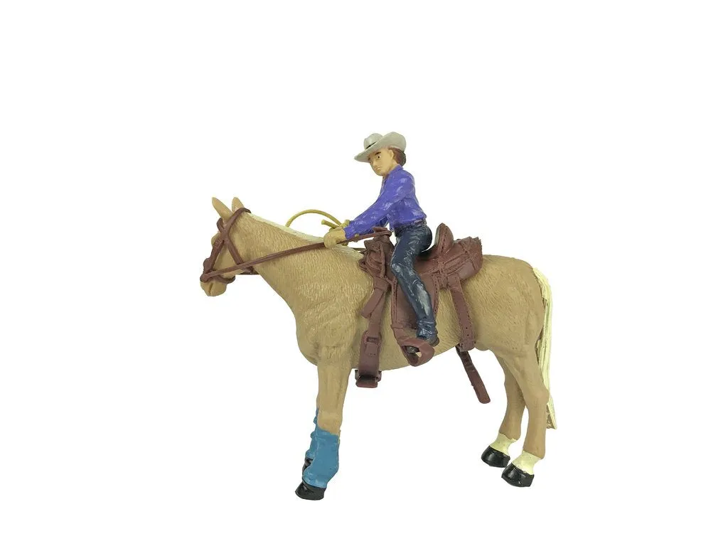 All Around Cowgirl